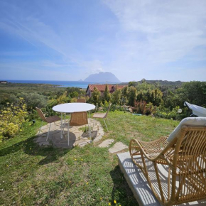 Villa Cactus, Costa Corallina
